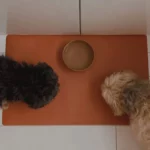 Eeveve desk mat rust (2)
