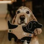 Milin Chalkboard Dog 1 (2)